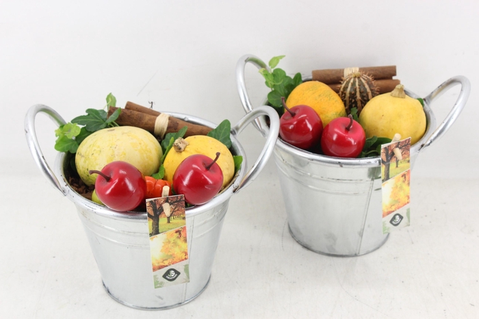 <h4>arr4 Sierfruit JS - Zink emmer x6</h4>