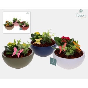 Keramieken moon schaal Voorjaar met Arrangement