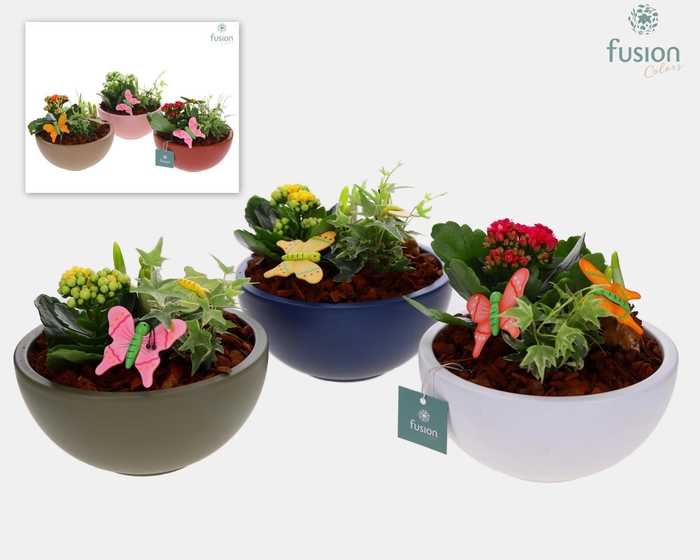 <h4>Keramieken moon schaal Voorjaar met Arrangement</h4>