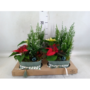 Arr.    Planten  L%