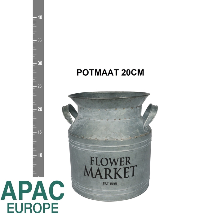 <h4>Pot Decor Metal H%</h4>