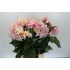 Dahlia Cafe Au Lait