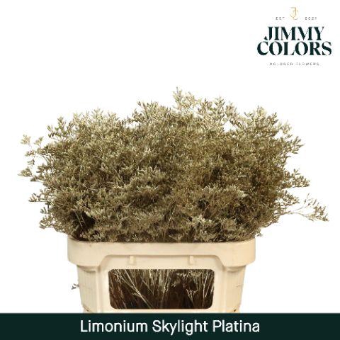 <h4>Lim Skylight L80 Mtlc. Platina</h4>