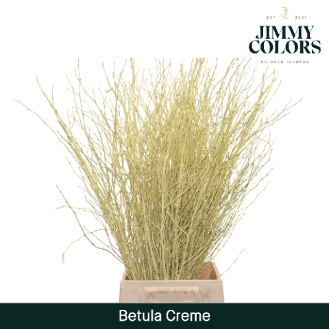 <h4>Betula L70 Creme</h4>