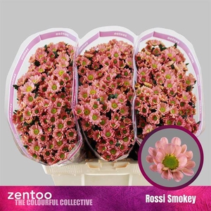 Chr S Rossi Smokey