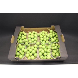F Appel Malus Groen X8