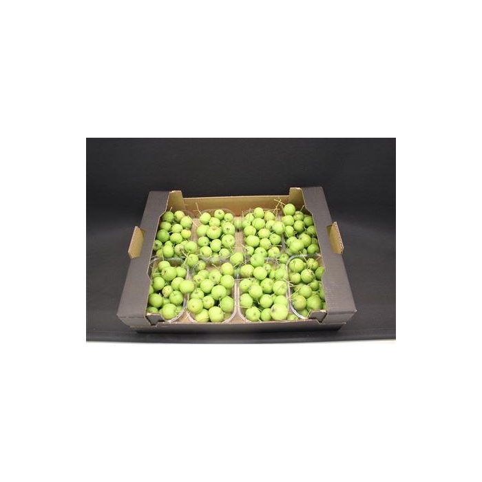 <h4>F Appel Malus Groen X8</h4>