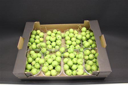 F Appel Malus Groen X8