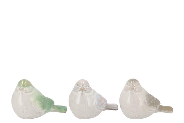 <h4>Jet Green Bird Ass 16x10x11cm</h4>