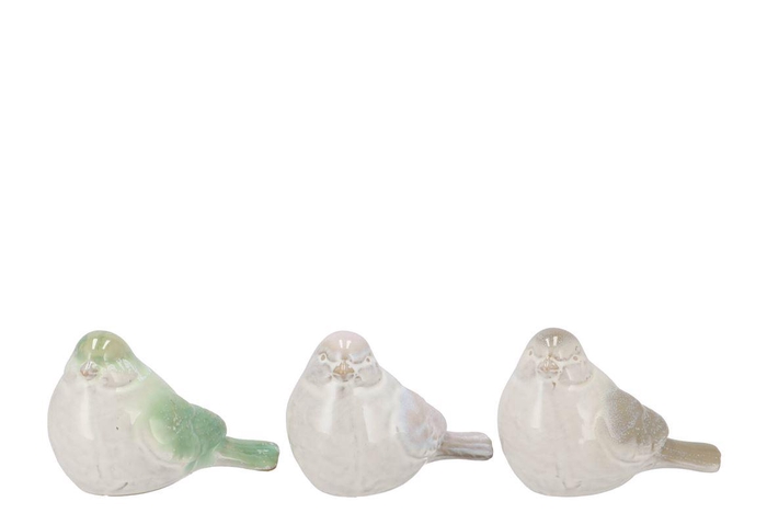 <h4>Jet Green Bird Ass 16x10x11cm</h4>