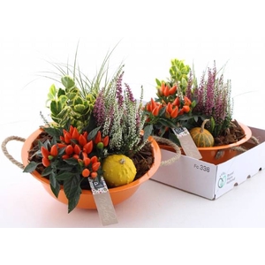 ARR TUINPLANTEN