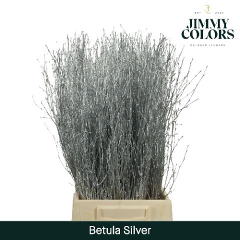 <h4>Betula L60 Mtlc. Silver</h4>