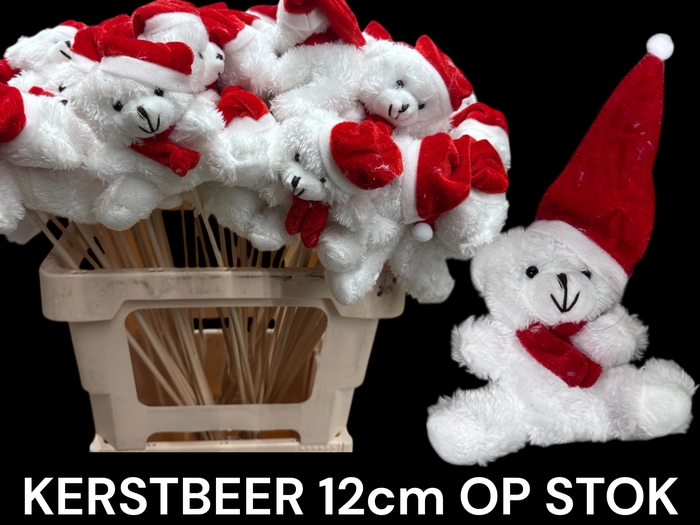 <h4>HUIS EN TUINDECO H%</h4>