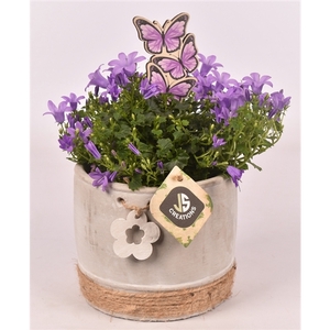 Cement met bloem en touw 12cm