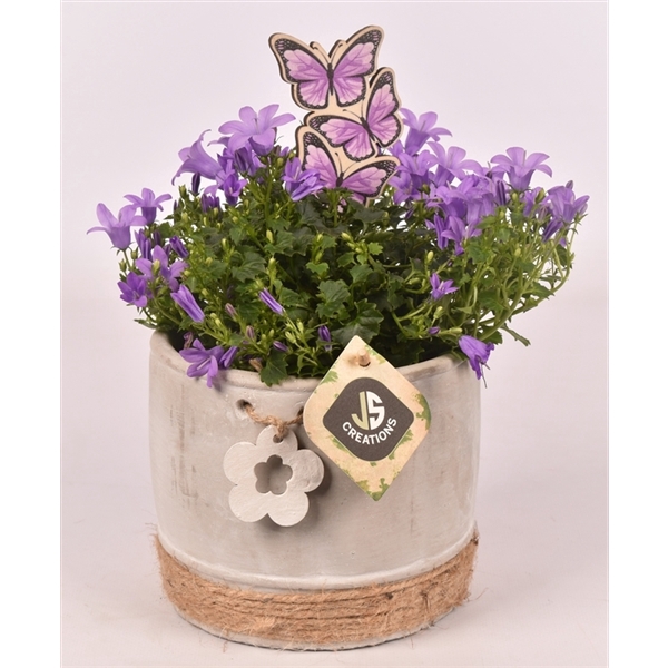 <h4>Cement met bloem en touw 12cm</h4>