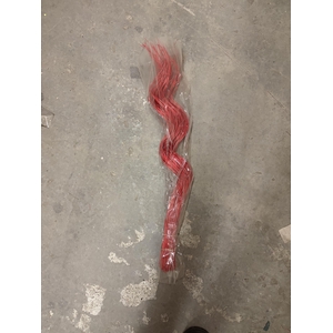 Branchage rouge 50cm