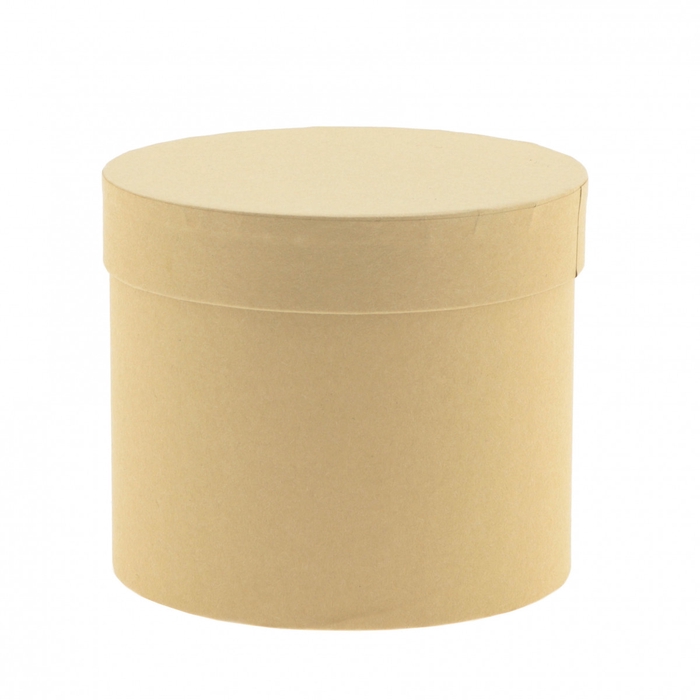 <h4>Bouquetholder Hatbox karton d15*13cm</h4>