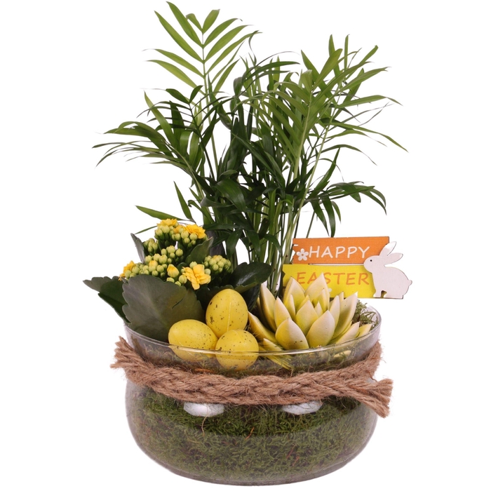 <h4>Easter Arr. Indoor Glass Bowl with Rope Ø20cm 3PP</h4>