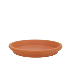 Terracotta Waterdish D23xh4cm