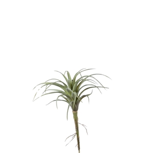 Artificial plants Tillandsia 22cm