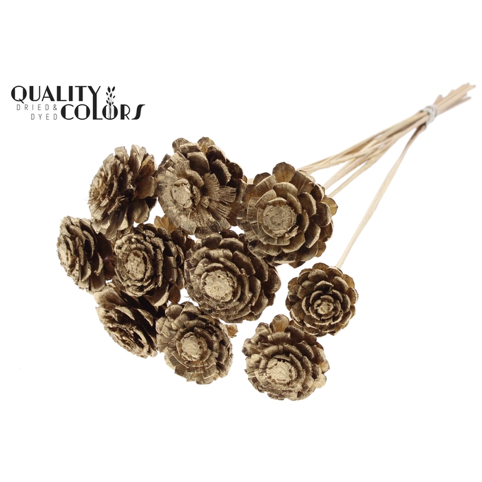 <h4>Pine cone cut 5-7cm on stem Antique Gold</h4>
