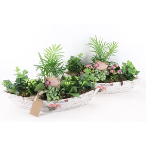 arr2 TD - Boot groot 6pl - roze/wit