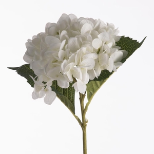 AF Hydrangea L45cm White