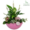 SP005 Eyleen Pink