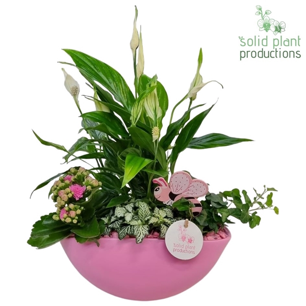 <h4>SP005 Eyleen Pink</h4>