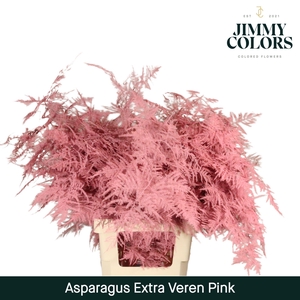 Aspa extra veren Pink