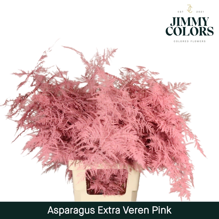 <h4>Aspa Extra Veren Pink</h4>