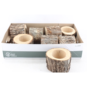 arr3 GB - Schors pot x8