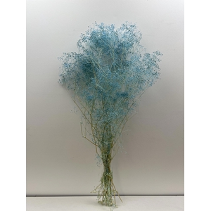 GESTABILISEERD GYPS MILLION STAR LICHTBLAUW