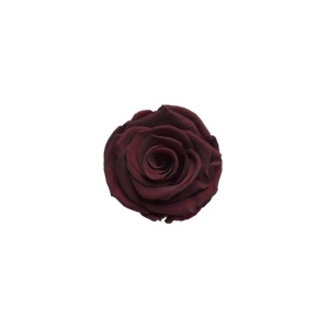 Rose Red Wine Elegant pres.