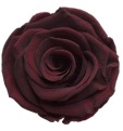 Rose Red Wine Elegant pres.