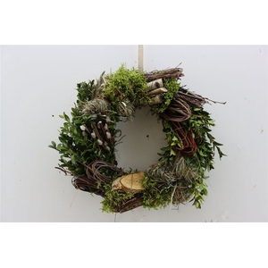 Wr Easter Buxus Hooi Moss 30cm