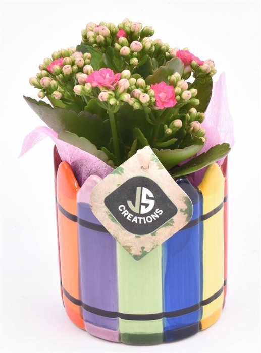 <h4>Keramiek potlood potje 11cm</h4>