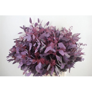 Euca Populus Berry 300gr Abs Lilac P Bunch