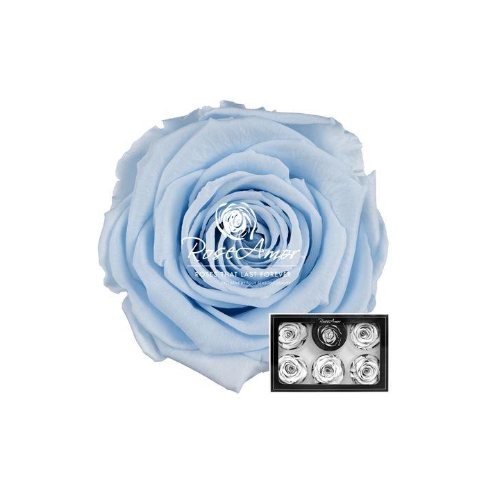 <h4>Xl Blu89</h4>