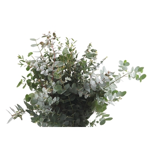 Blad Mix