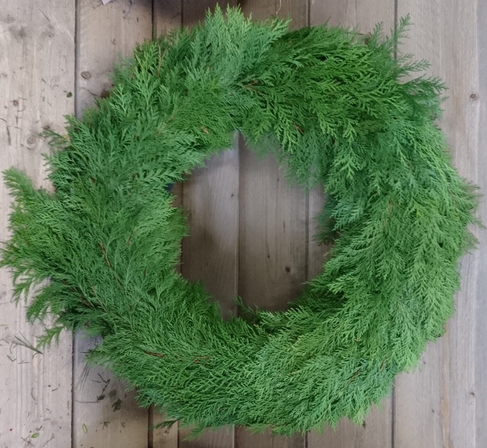 <h4>KRANZ KONIFERE 60 CM</h4>