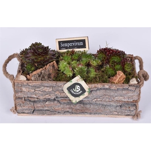 Boomschors rechth. met touw 26x12cm