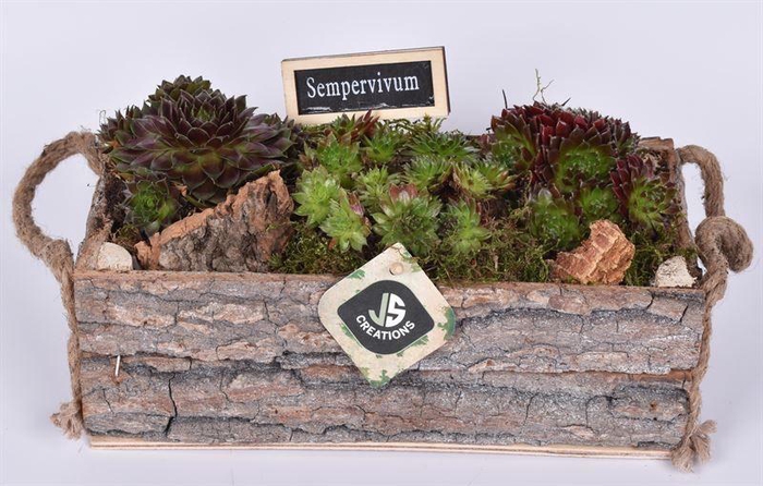 <h4>Boomschors rechth. met touw 26x12cm</h4>