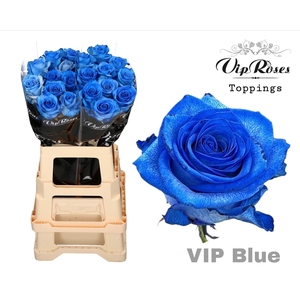 R Gr Vip Blue 65cm