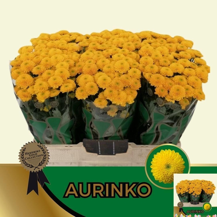 <h4>CHR SAN AURINKO</h4>