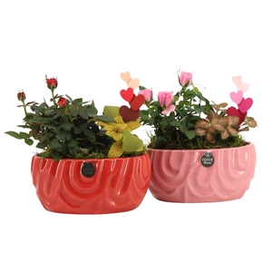 21808: Lovess arrangement