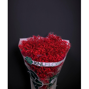 GYPS RED LIPSTICK +GLITTER