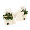 Arrangementen Kerst 6%