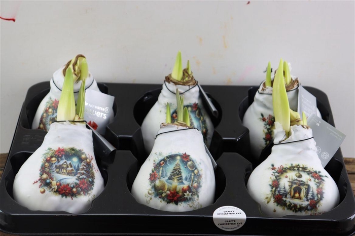 Wax Hipp Crafts Christmas Eve Mix