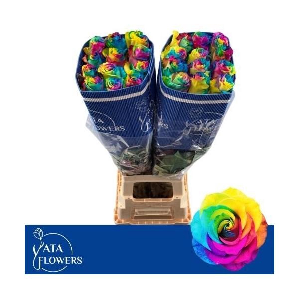 <h4>R Gr Rainbow Klb %</h4>